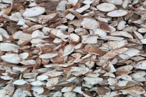 Dried Cassava Chips from Tanzania